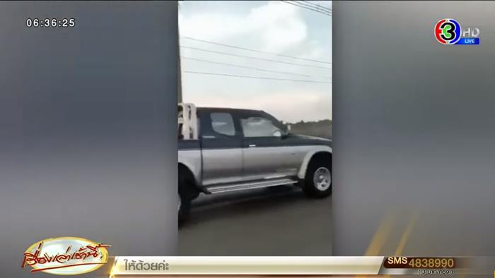 ขับรถลากหมาไปทิ้ง