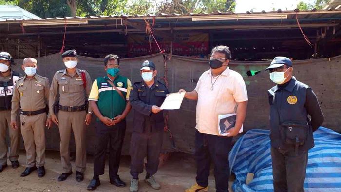 ใช้เท้าย่ำผักกาดดอง