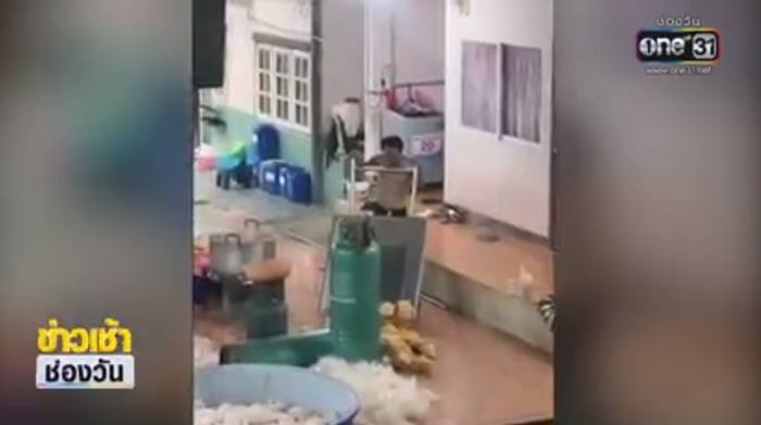 ร้านขายไก่แจดราม่าเทไก่ลงพื้น