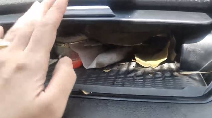 ผู้กองสาวดาว TikTok โดนศูนย์รถขโมยพระ