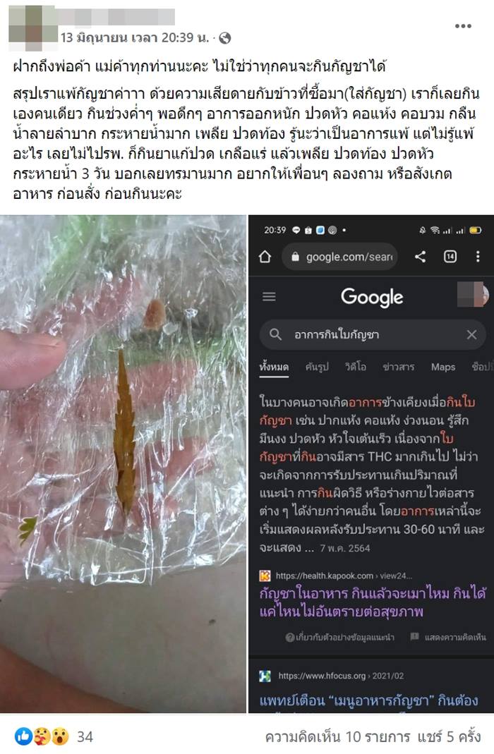 แพ้กัญชา