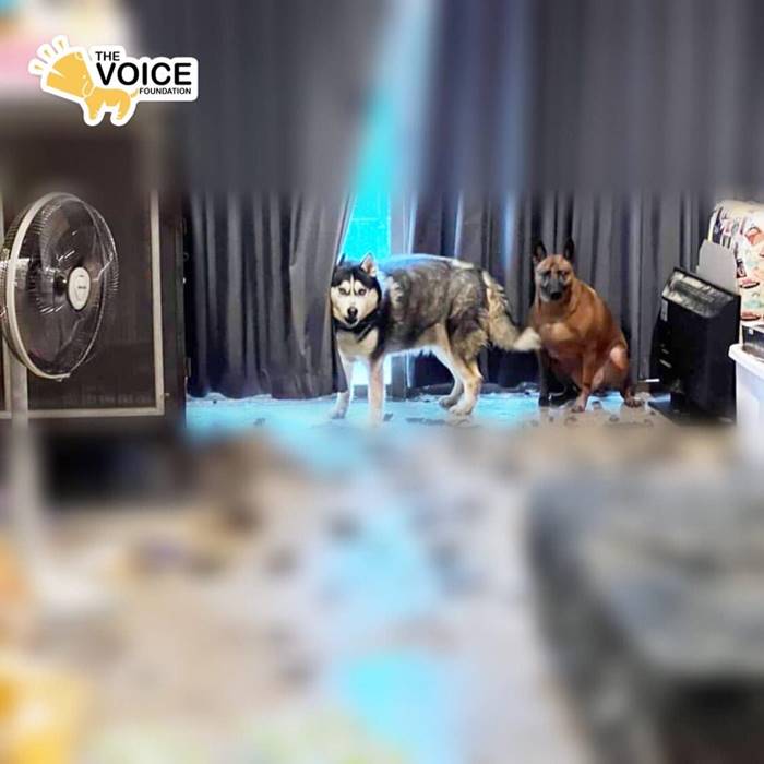 ซันนี่ยูโฟร์เสียชีวิต