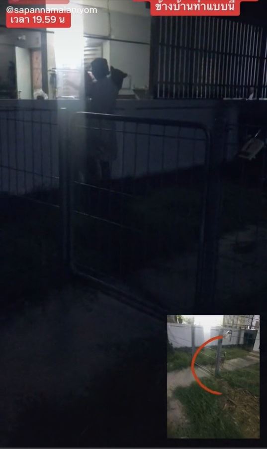 ป้าข้างบ้านพาหมามาขี้ในบ้าน
