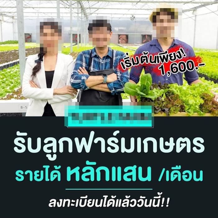 ทลายเซฟ ฟาร์มเห็ด นับร้อยล้าน