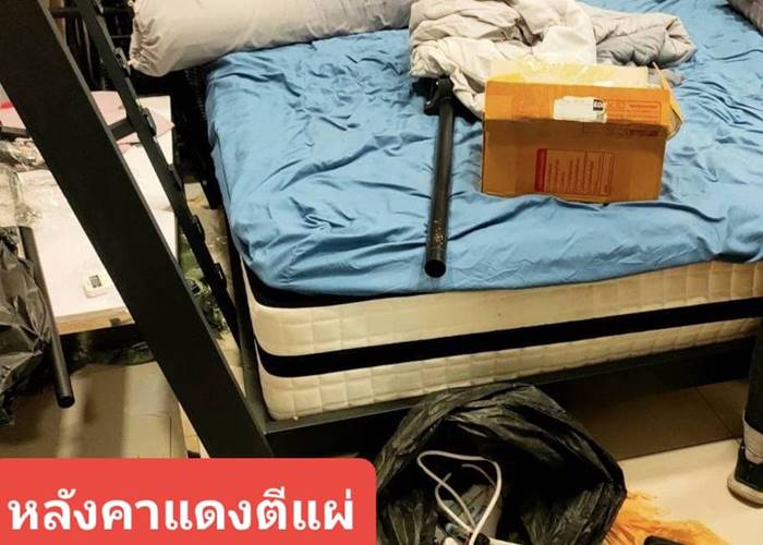 จับแก๊งหนังโป๊