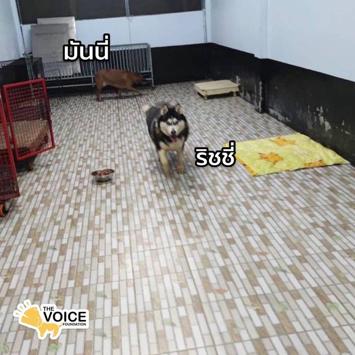 ซันนี่ยูโฟร์เสียชีวิต