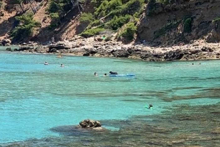 ตีลังกาบนแพดเดิลบอร์ด