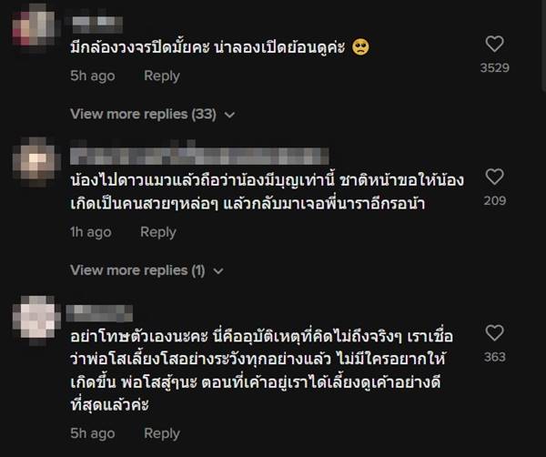 แมวบักโส ตายแล้ว