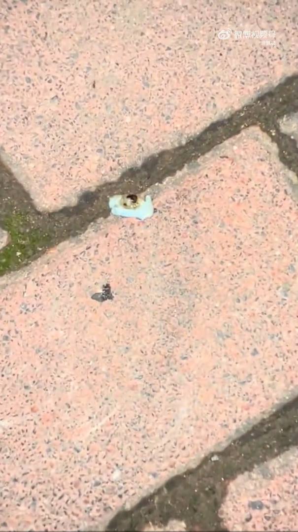 ไอติมลนไฟไม่ละลาย