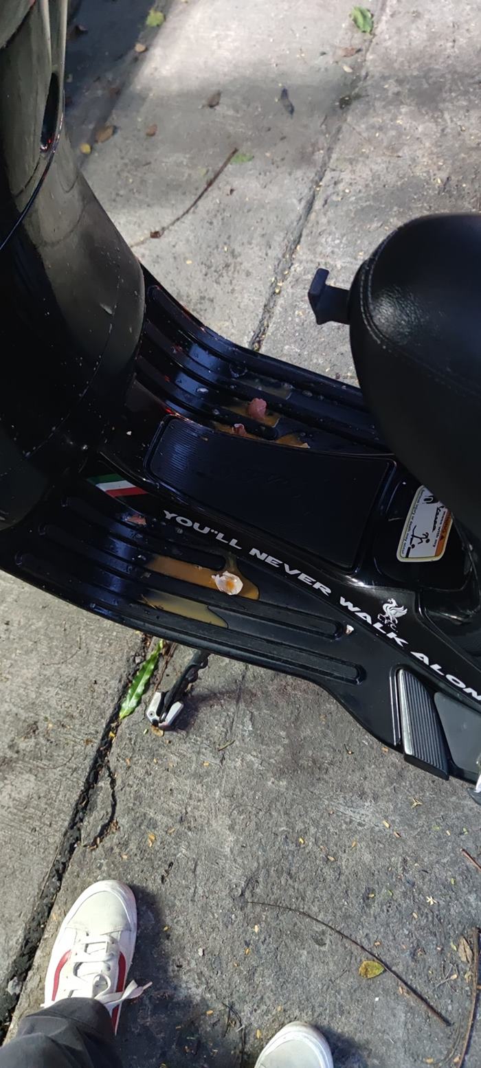 มนุษย์ป้าปาไข่ใส่รถ