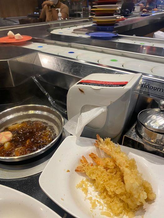 แมลงสาบในร้านบุฟเฟ่ต์ซูชิ 