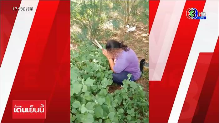 งูสีฟ้า