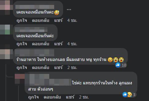 แมลงสาบในร้านบุฟเฟ่ต์ซูชิ 