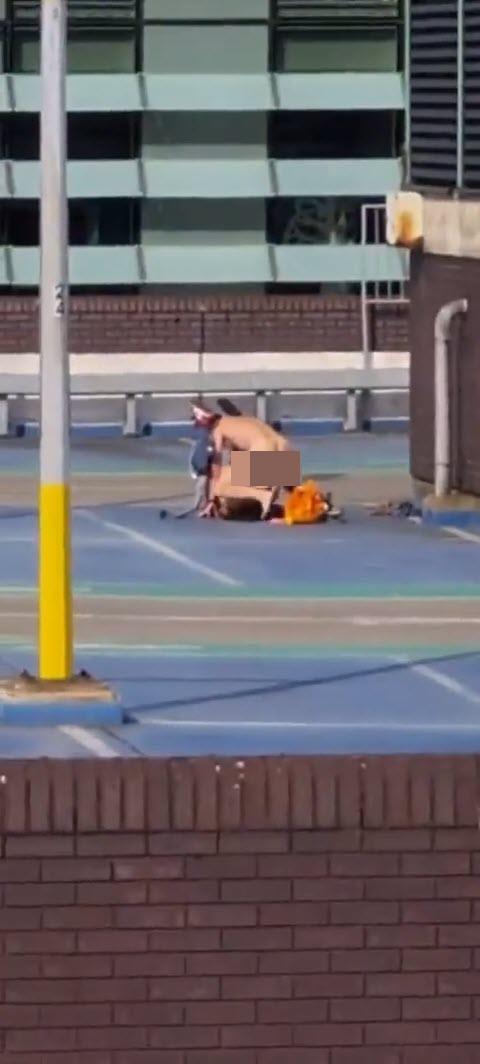 มีเซ็กส์บนดาดฟ้า