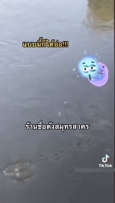 ดราม่าร้านอาหารเทข้าวให้ปลากิน