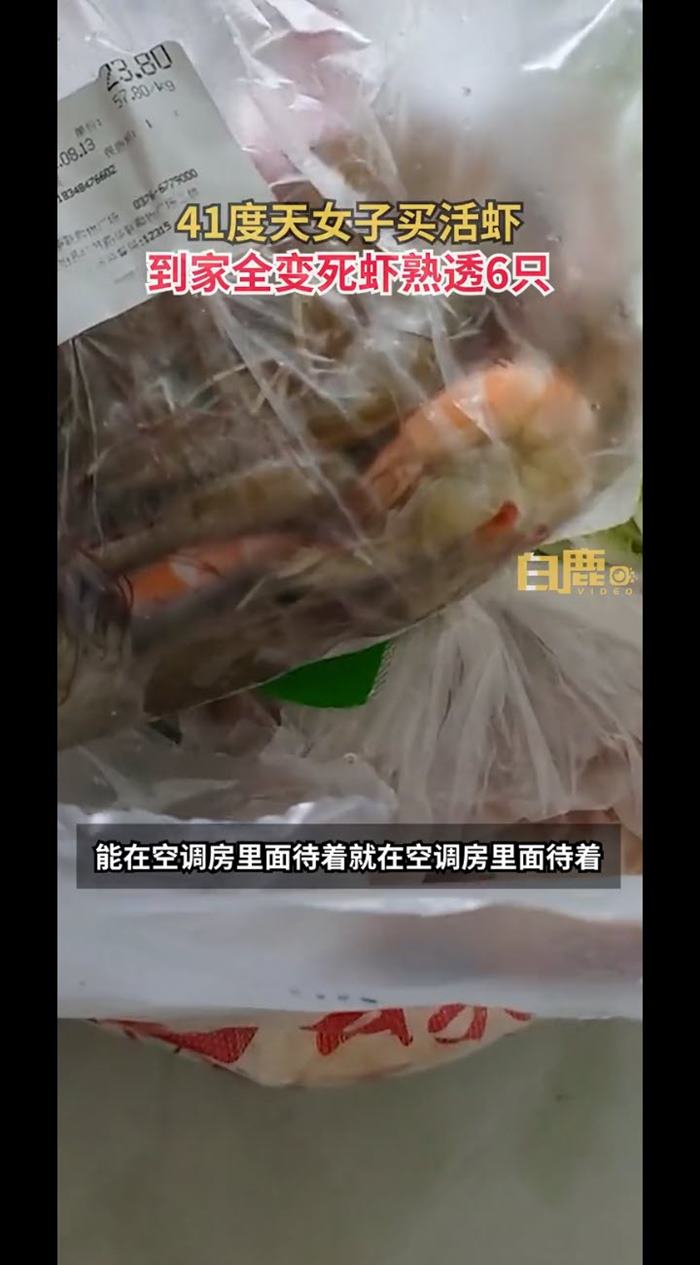 ซื้อกุ้งเป็น ถึงบ้านกุ้งสุกคาถุง