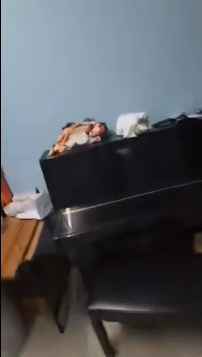 เปียโนเล่นเอง