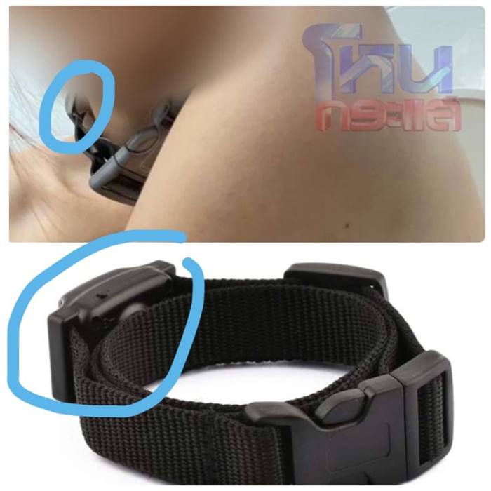 คนสังเกตรูป ดิว อริสรา ถูกจับใส่ปลอกคอหมาแบบช็อตไฟฟ้า