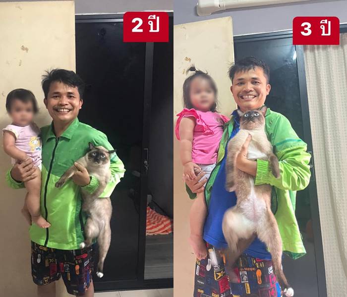 หนุ่มรีวิวพาแมวขับแกร็บ 3 ปี หน้าดำหมดเลย