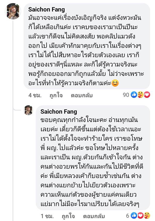 สาวช่วยแมวอ้วนติดต้นไม้