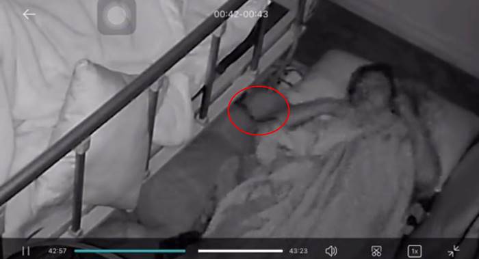 สาวหลับลูบหัวงูหมือนลูบหัวหมา