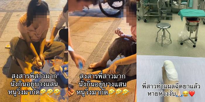 หนูบางแสนกัด