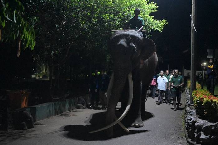 พลายศักดิ์สุรินทร์ กลับไทย