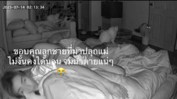 แมวปลุกเจ้าของ หลังทำน้ำท่วมห้อง 