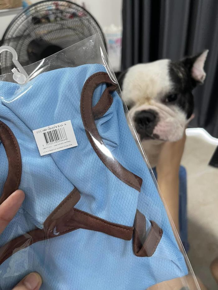 เสื้อหมา