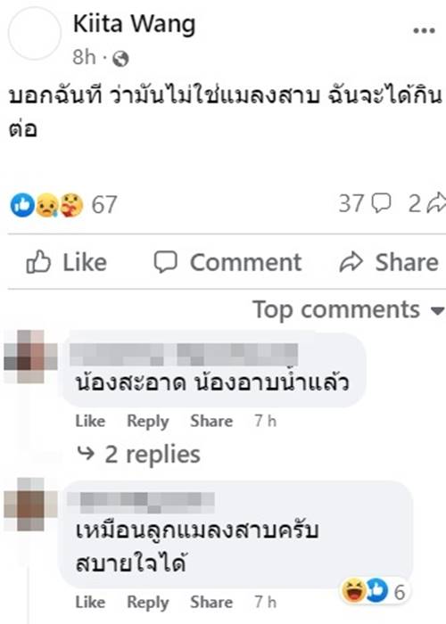 แมลงสาบในยำวุ้นเส้น