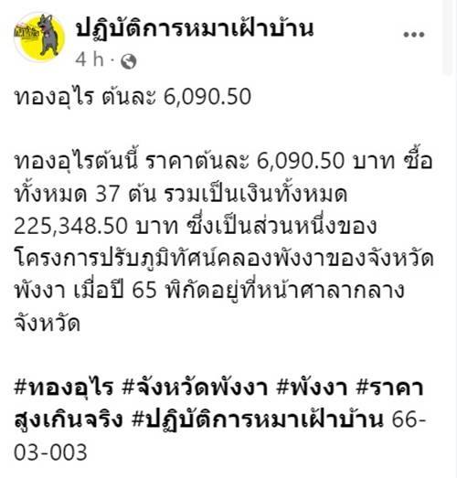 ต้นทองอุไร 70 ราชการซื้อ 6,090
