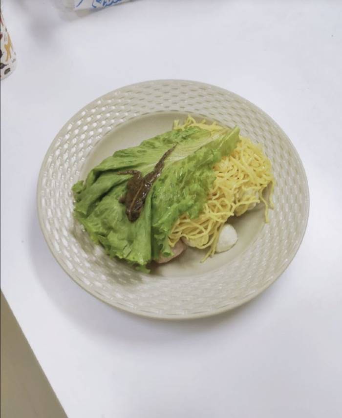 บะหมี่แห้งมีเขียด