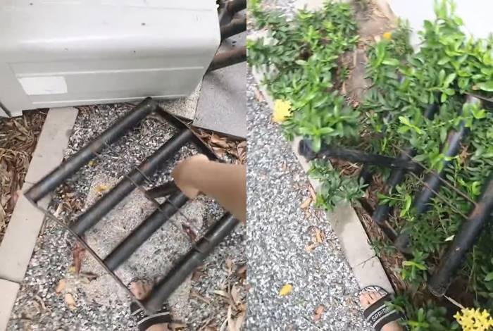 เพื่อนบ้าน สะสมขยะ