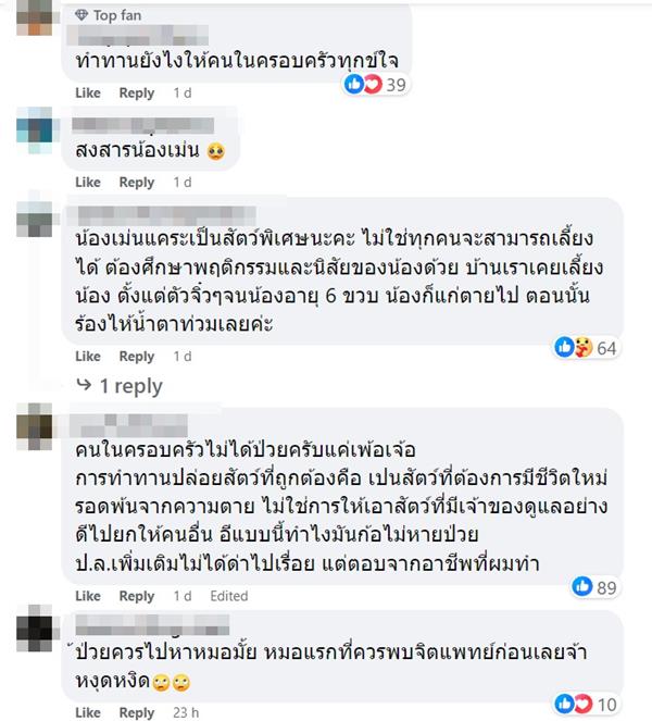 เลี้ยงเม่น