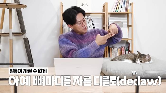 สัตวแพทย์แฉคนดังเกาหลี ถอดเล็บแมว