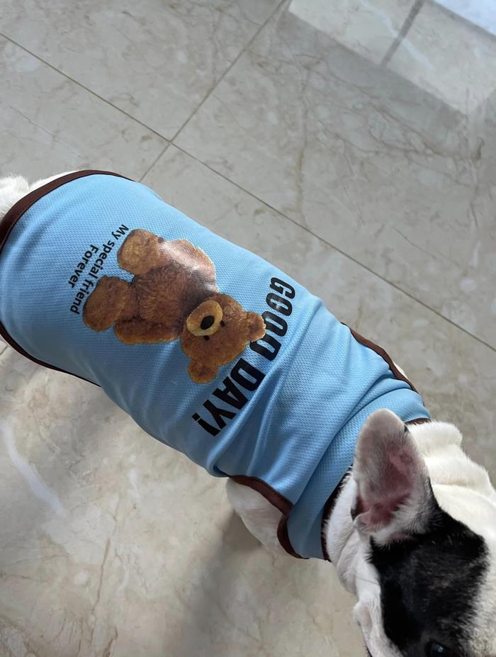 เสื้อหมา