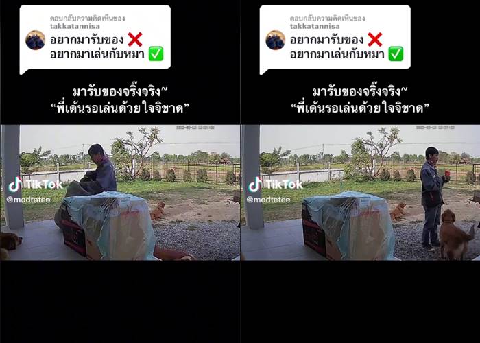 ขนส่งมารับของ 