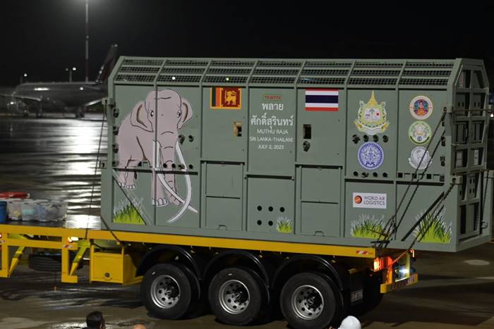 พลายศักดิ์สุรินทร์ กลับไทย