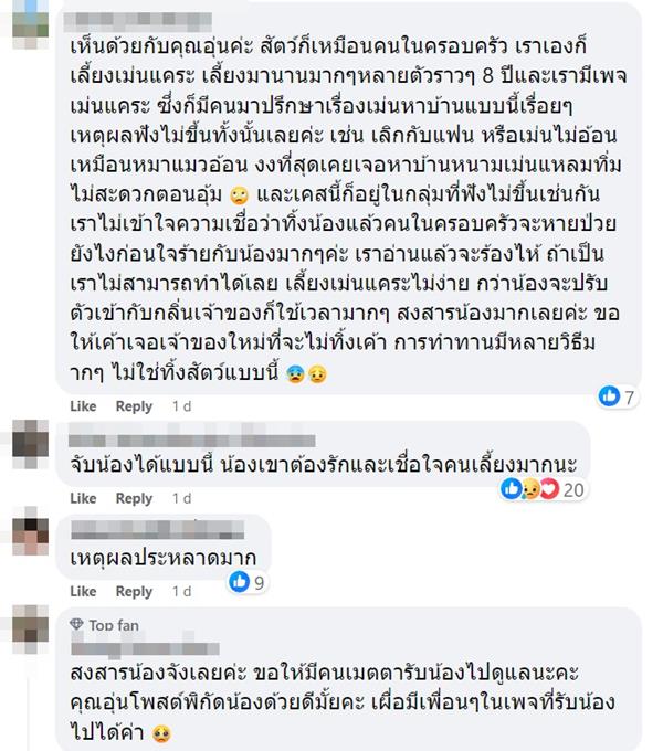 เลี้ยงเม่น