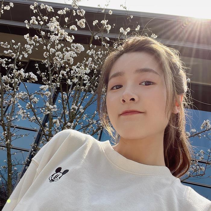 ดาราจีน