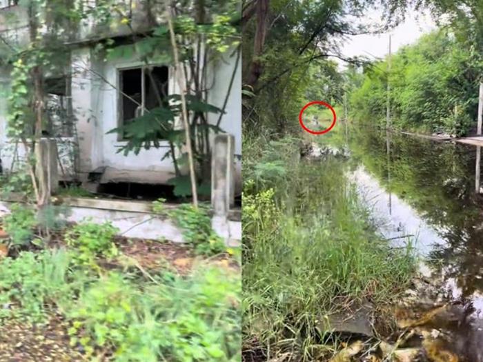 ซอยประชาอุทิศ