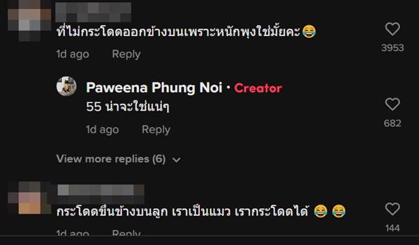 เคล็ดลับ แมวหนีออกจากบ้าน