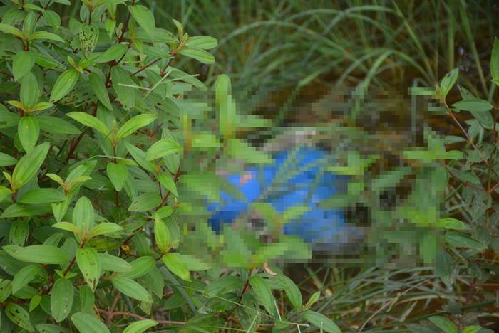 ศพคนตาย