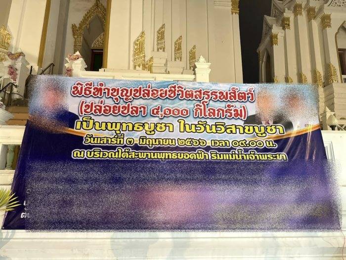 ปล่อยปลาดุกลงแม่น้ำ