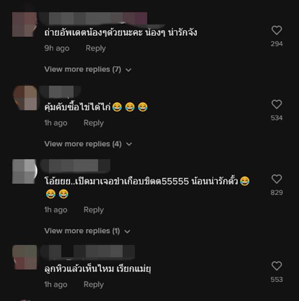 ซื้อไข่กลายเป็นไก่