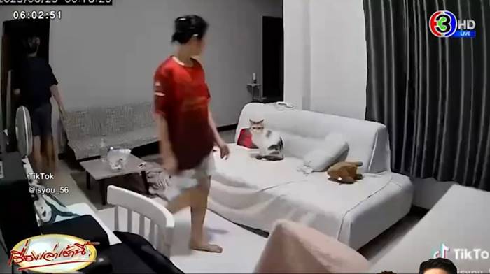 แผ่นดินไหวพิษณุโลก