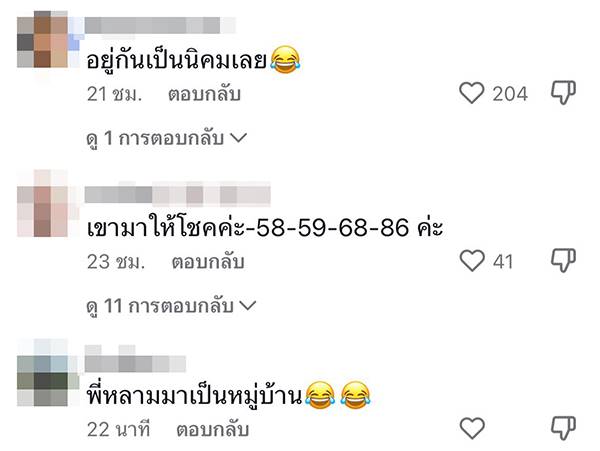 งูเหลือม รวมตัวในป่า