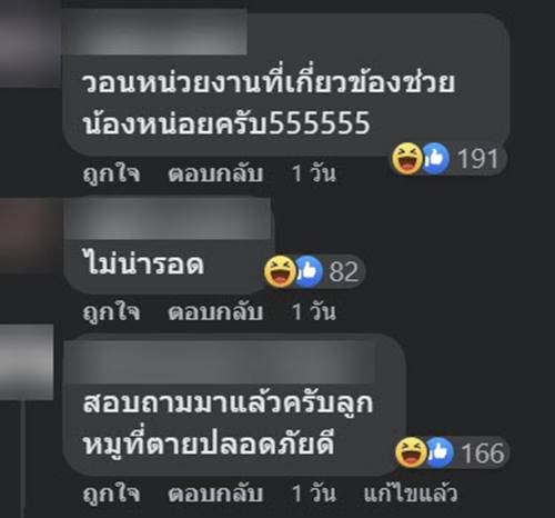 ไวรัลน้องหมูโดนฉีดยา ไม่ได้ตาย