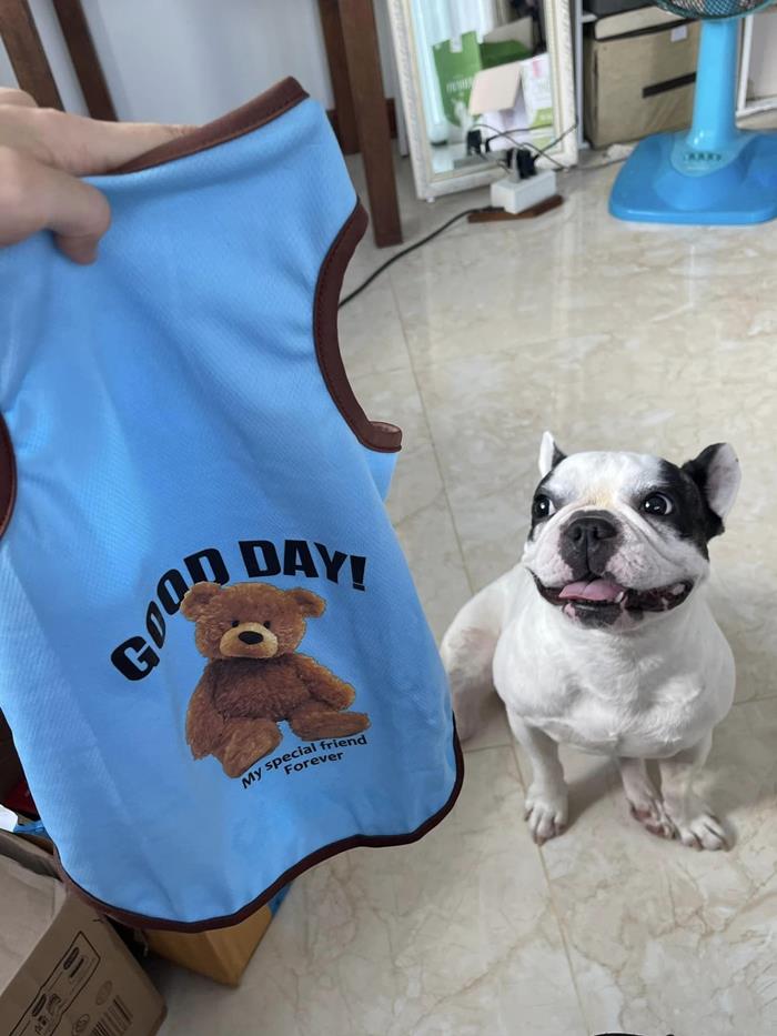 เสื้อหมา