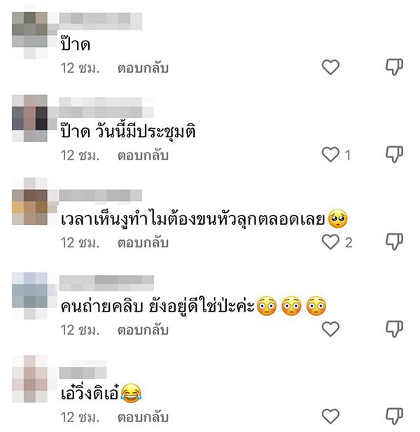 งูเหลือม รวมตัวในป่า